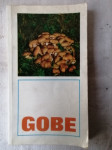 GOBE - Blanka Druškovič