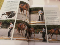 Think like your horse
