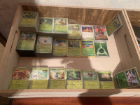 pokemon karte