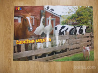 prodam poster čudežna mreža