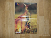 prodam poster kenguru