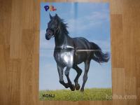 prodam poster konj