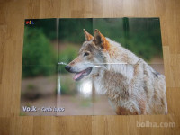prodam poster volk