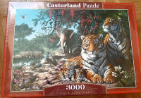 Puzzle 3000