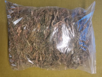 Aromatični konopljini vršički, cvetovi za čaj in CBD