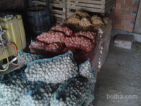 Krmni krompir Svinjski krompir