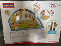 Igralnik lok Tiny Love z igračami