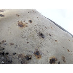 GJ32-5H343-AE FILTRO ANTIPARTICOLATO FAP LAND ROVER DISCOVERY SPORT L5
