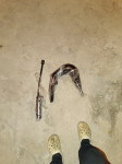 Tomos BT, ATX in CTX