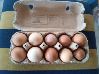 Domača jajca
