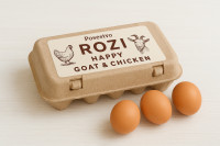 Domača kokošja jajca