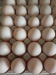 Prodam domača račja jajca 3€/10kom