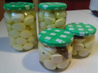 Vložena prepeličja jajca