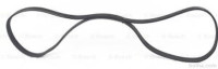 Mikro jermen BS1987947817 - Citroen Berlingo 08-