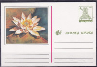 Ilustrirana dopisnica Jugoslavija 1993 Lokvanj flora nepotovana