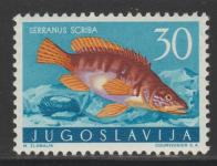 Jugoslavija leto 1956 - MORSKE ŽIVALI -  FAUNA (II)