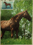Razglednica: 50 let veterinarske fakultete Zagreb 1969 Jugoslavija