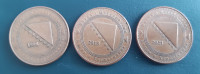 Bosna 10 feninga 1998, 2013, 2021