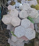 Tlakovci