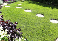 Vrtne pohodne plošče