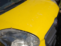 fiat doblo 2011 havba spredaj pokrov motorja prednja