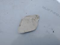 fiat tipo 2017 pokrovček odbijača zadnji zadaj