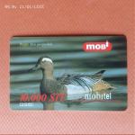 Mobi kartica, 10000 SIT, Reglja Anas querquedula