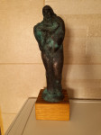 Kip iz brona
