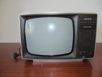 TV GRUNDIG črnobeli prenosni P1223, ekran 31 cm