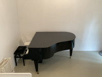 Prodam odlično ohranjen koncertni klavir