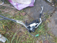 renault zoe 2016 sušilec za klimo klima cevi cev