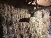 EKO BIO BALE KOCKE SENO OTAVA 2025