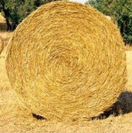 Bale slama