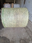 balirko prodam