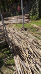 Bambusove palice, prekle za vrtičkarje
