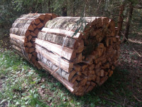 Brezova drva