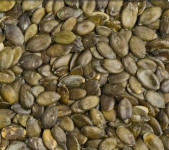 Bučno seme in Bučno olje ter pražena semena UGODNO