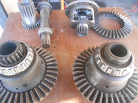 deli za pasquali in TV