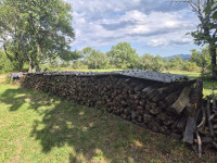 Drva za kurjavo Jelša