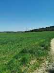 Kmetijska zemljišča 4,9 hektarja