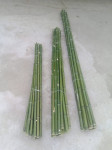 Oporne palice - bambus