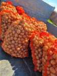 Semenski krompir 1,5€ - kg