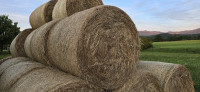 Seno 2025, okrogle bale 130cm, eko certifikat