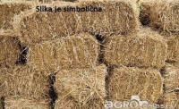 slama v kockah