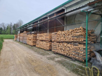 SUHA DRVA Trebnje/Dolenjska