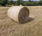 VELIKE OKROGLE BALE SLAME