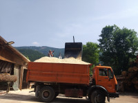 Žagovina