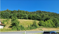 ZAZIDLJIVO ZEMLJIŠČE 9.000 m² – za KMETIJO ali DOM