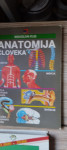 anatomija človeka