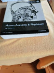 Anatomija in fiziologija človeka, ang